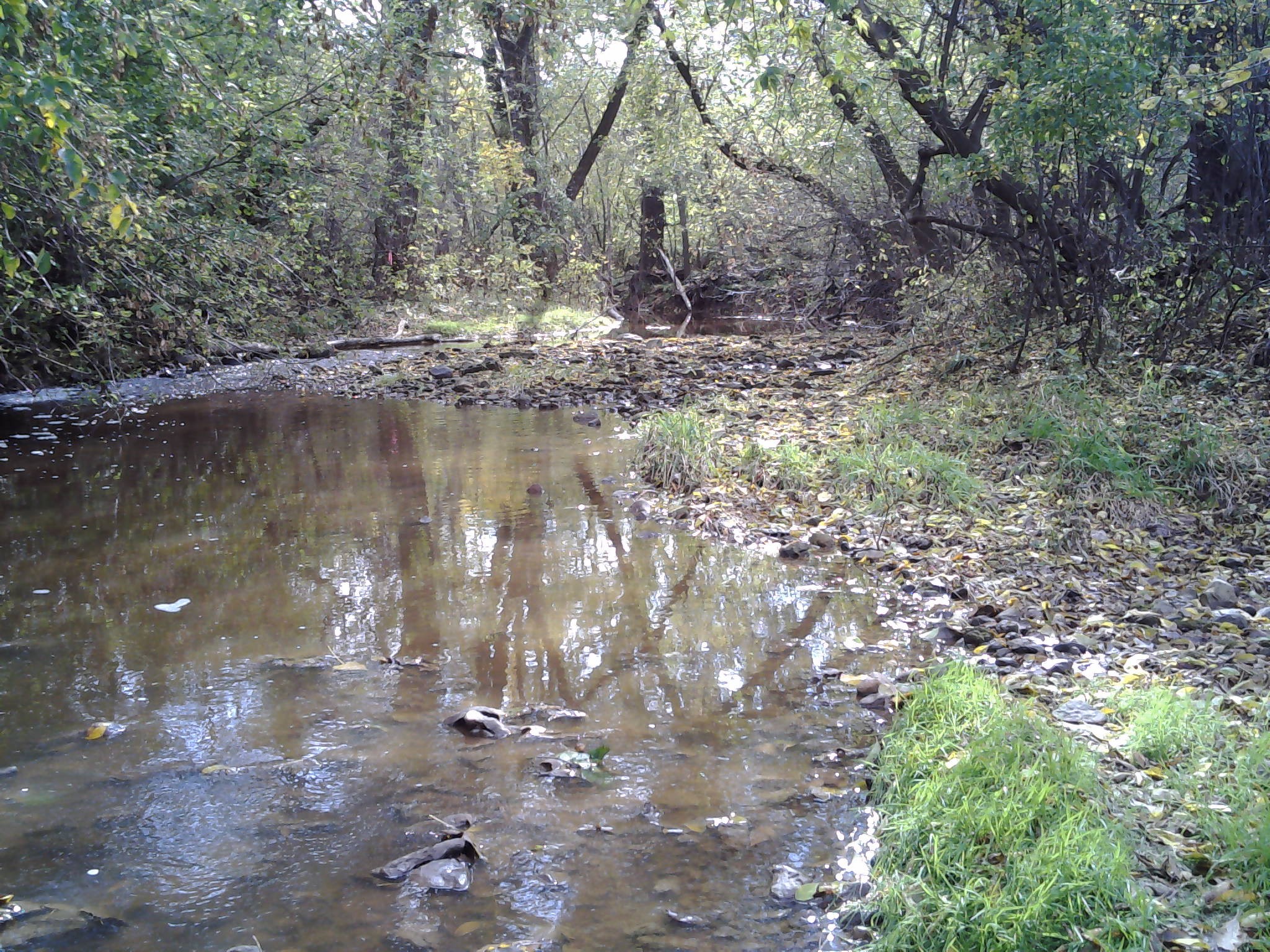 Pipe Creek, Lake Winnebago - East Watershed (UF02)