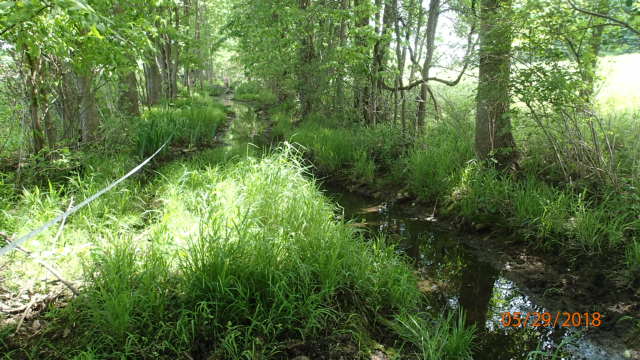 Unnamed Stream, Little River Watershed (GB04)
