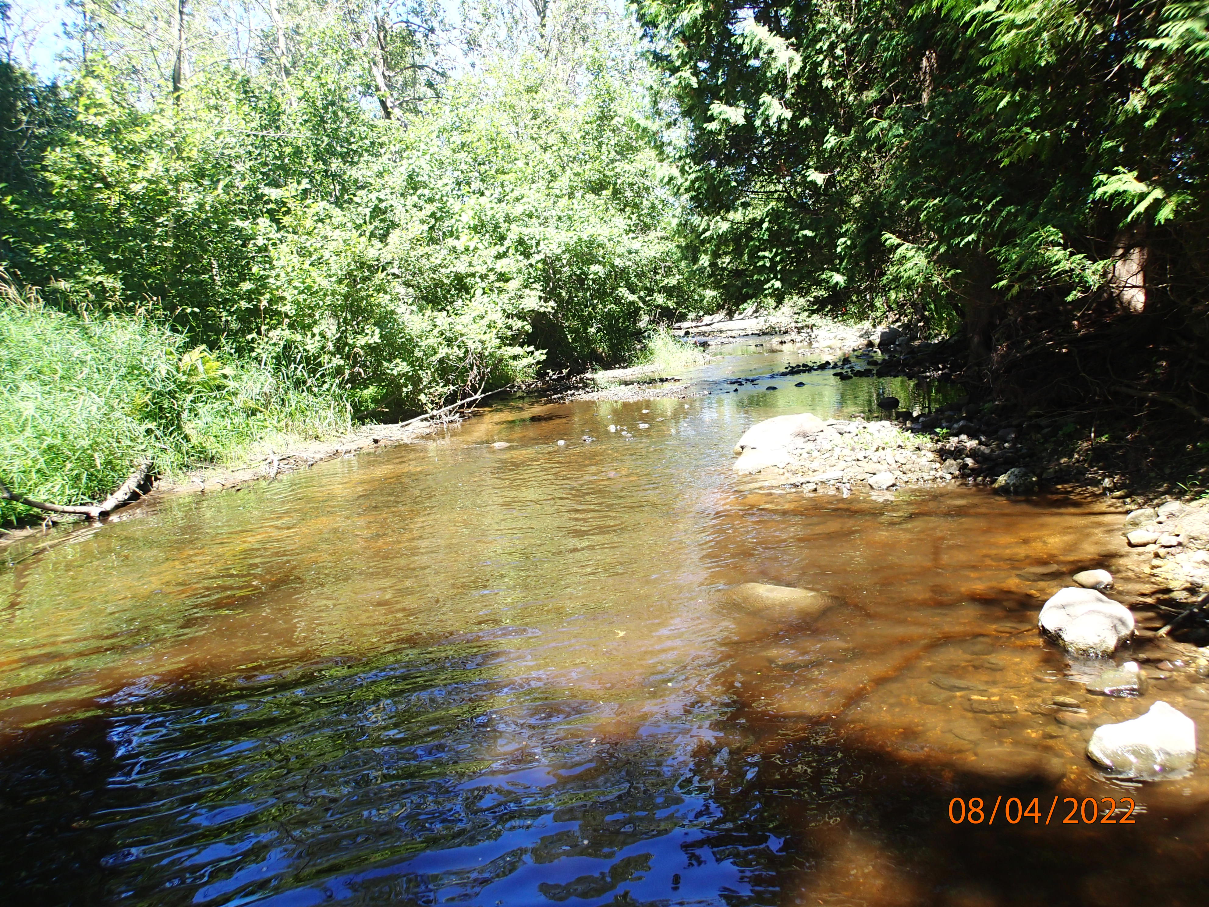 Stony Creek, Stony Creek Watershed (TK05)