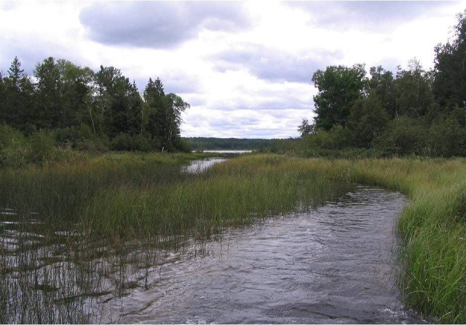 Cranberry Lake, Upper Namekagon River Watershed (SC22)