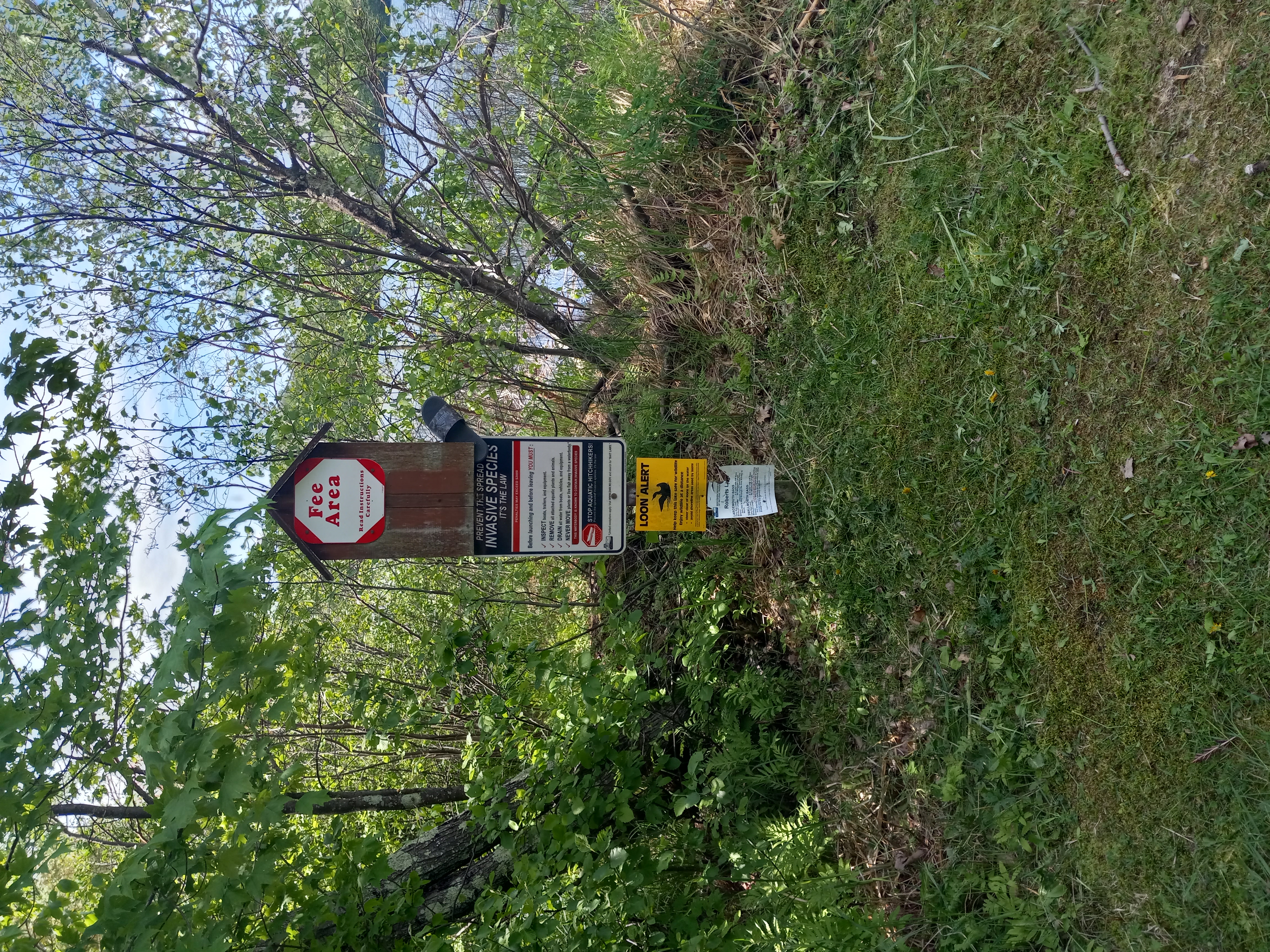 Roberts Lake, Lily River Watershed (WR19)