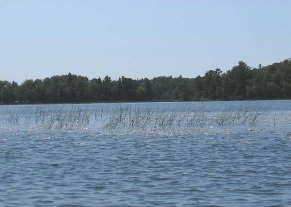 Nancy Lake, Lower Namekagon River Watershed (SC19)
