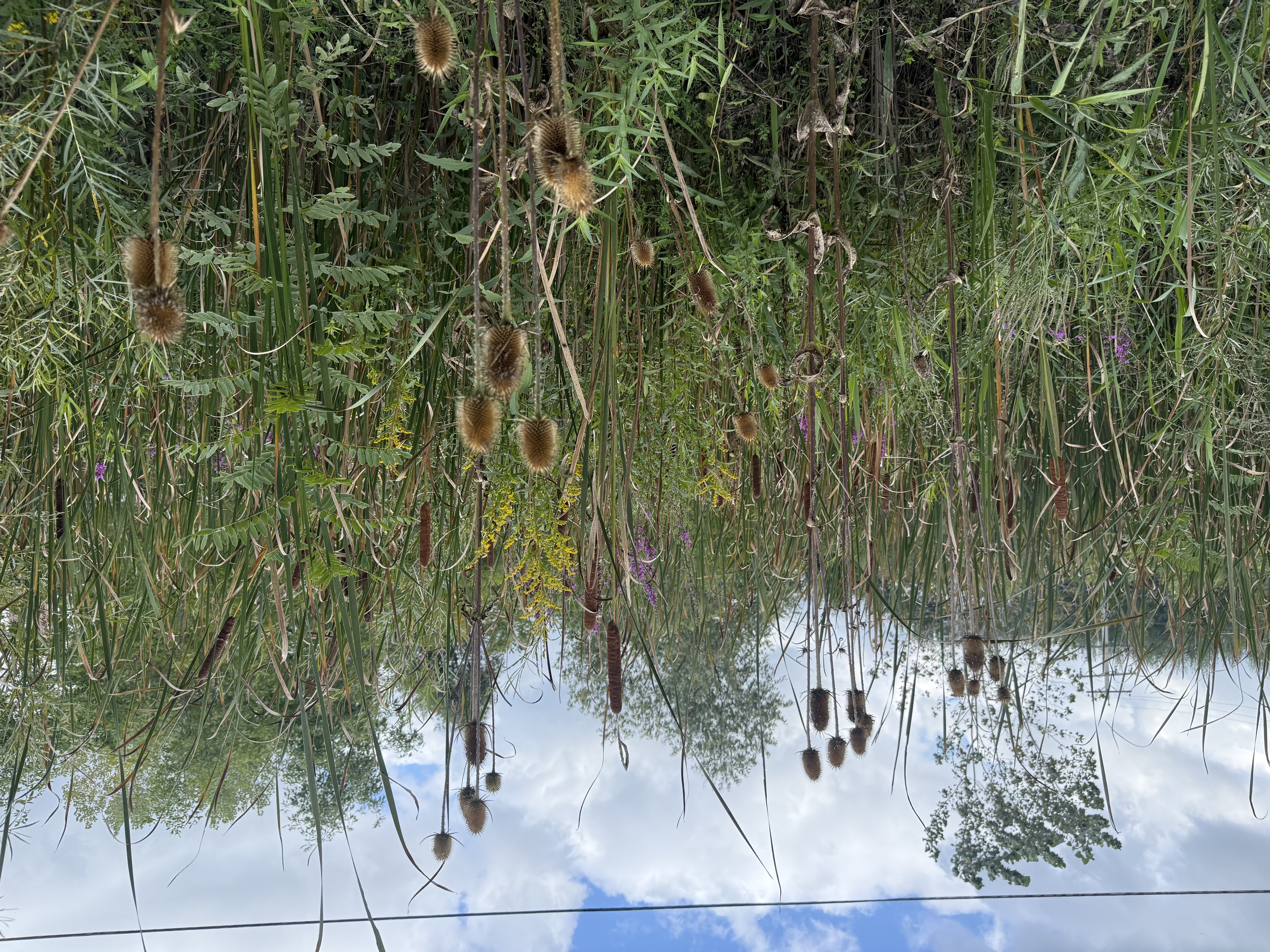 Ulao Creek, Milwaukee River South Watershed (MI02)