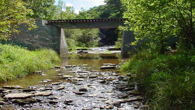 Baird Creek, East River Watershed (LF01)
