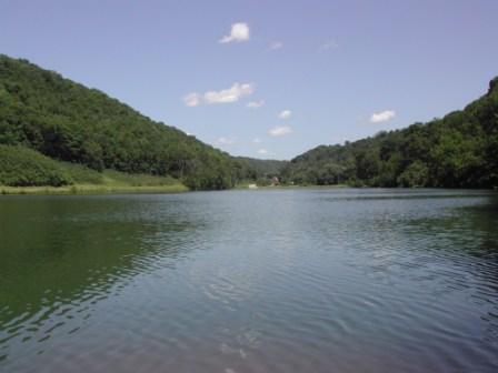Sidie Hollow Lake, Bad Axe River Watershed (BL02)