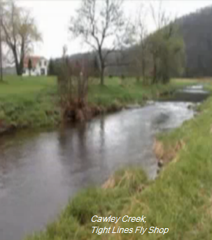 Cawley Creek, Cawley and Rock Creeks Watershed (BR10)