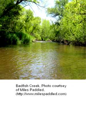 Badfish Creek, Badfish Creek Watershed (LR07)