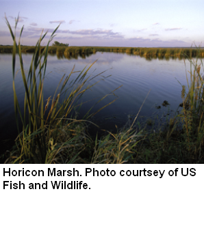 Horicon Marsh, Upper Rock River Watershed (UR12)