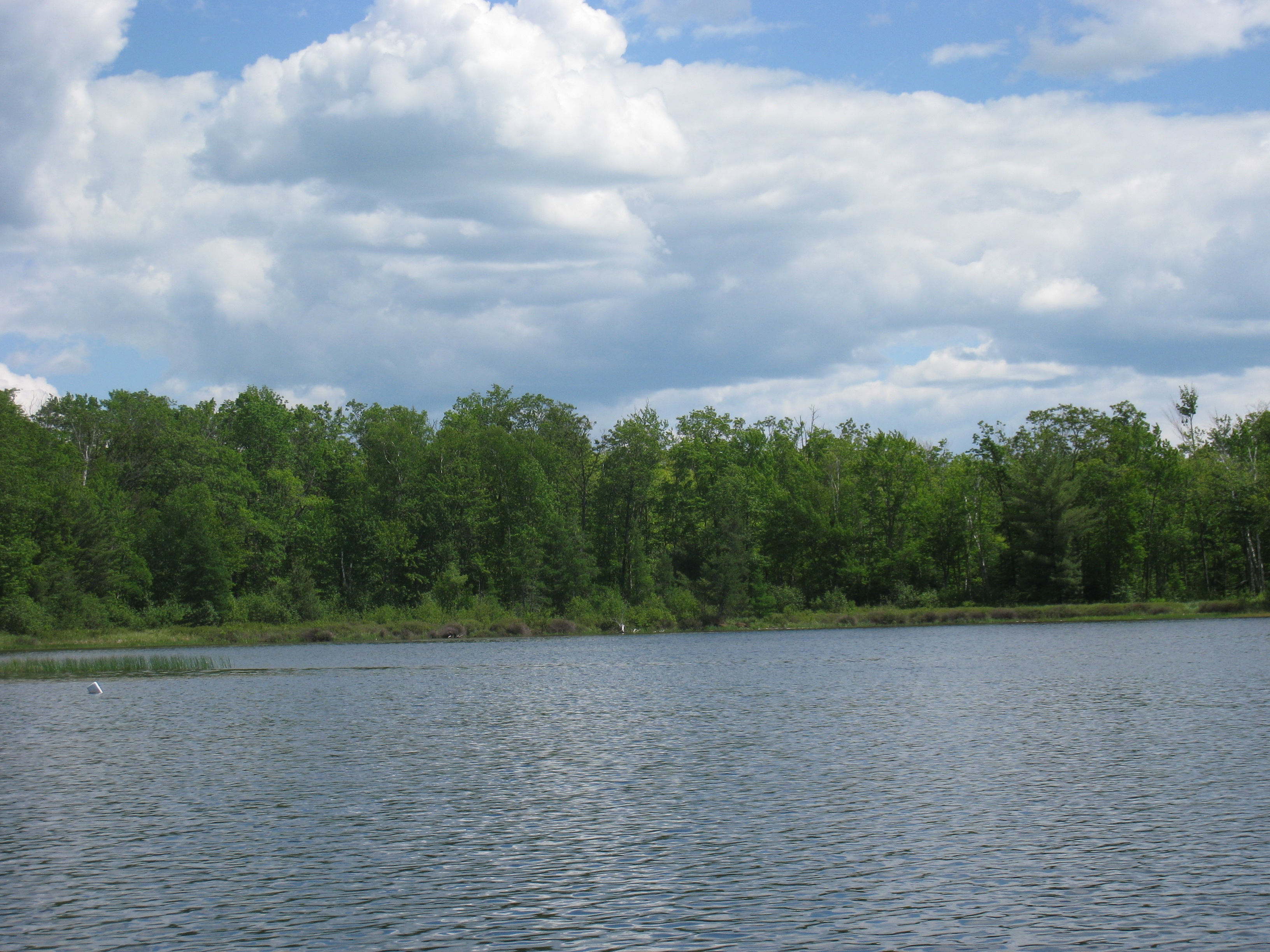 Beauregard Lake, Upper St. Croix and Eau Claire Rivers Watershed (SC18)