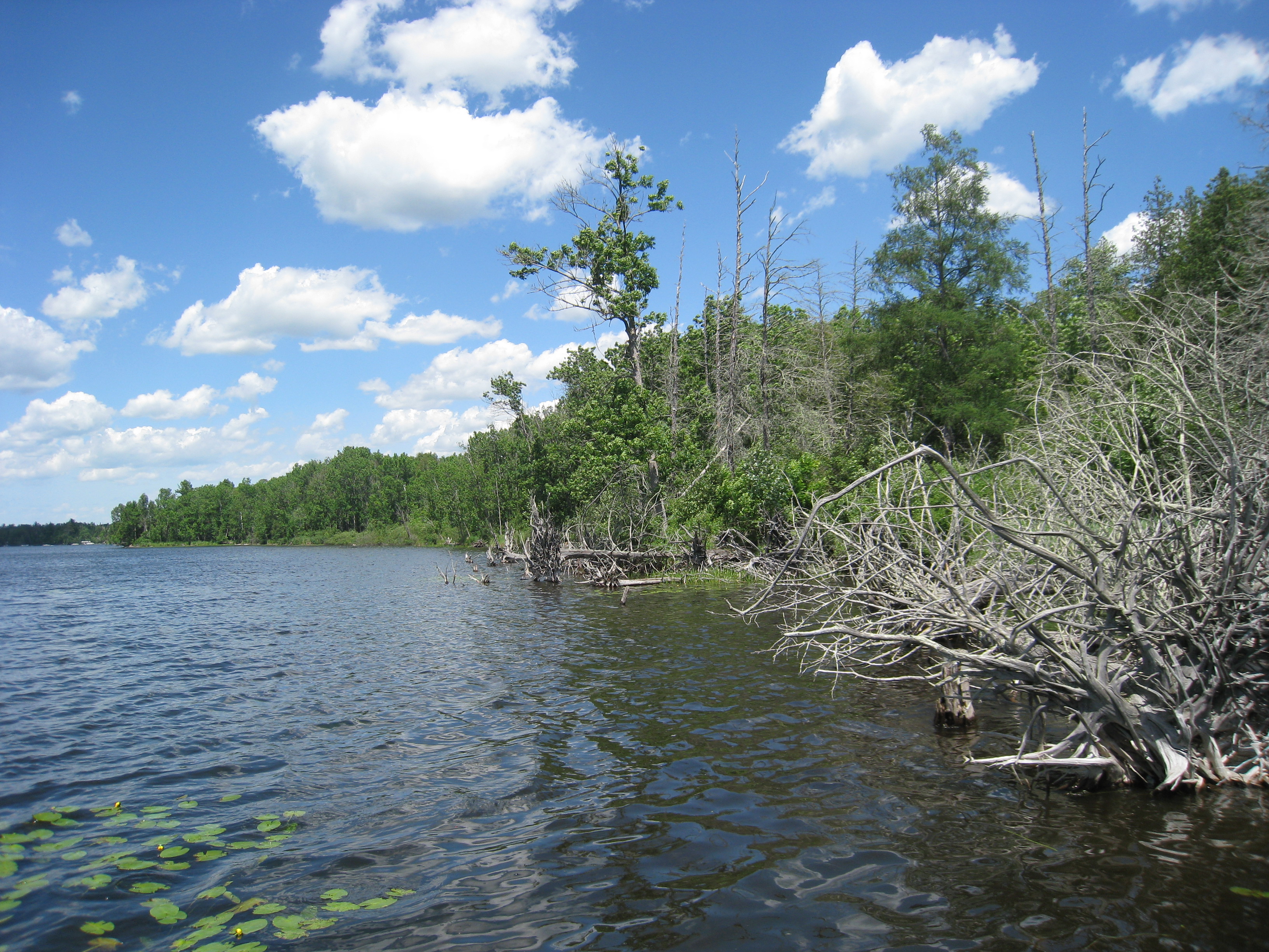 Upper St. Croix Lake, Upper St. Croix and Eau Claire Rivers Watershed (SC18)