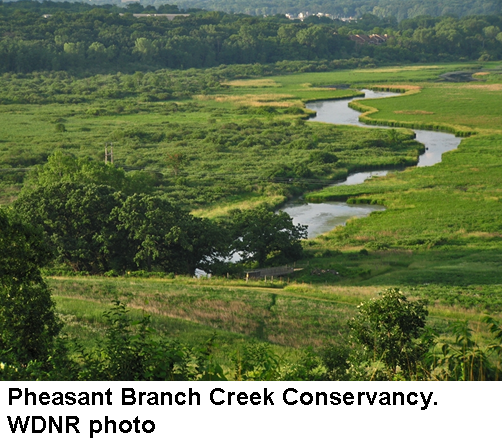 Pheasant Branch, Six Mile and Pheasant Branch Creeks Watershed (LR10)