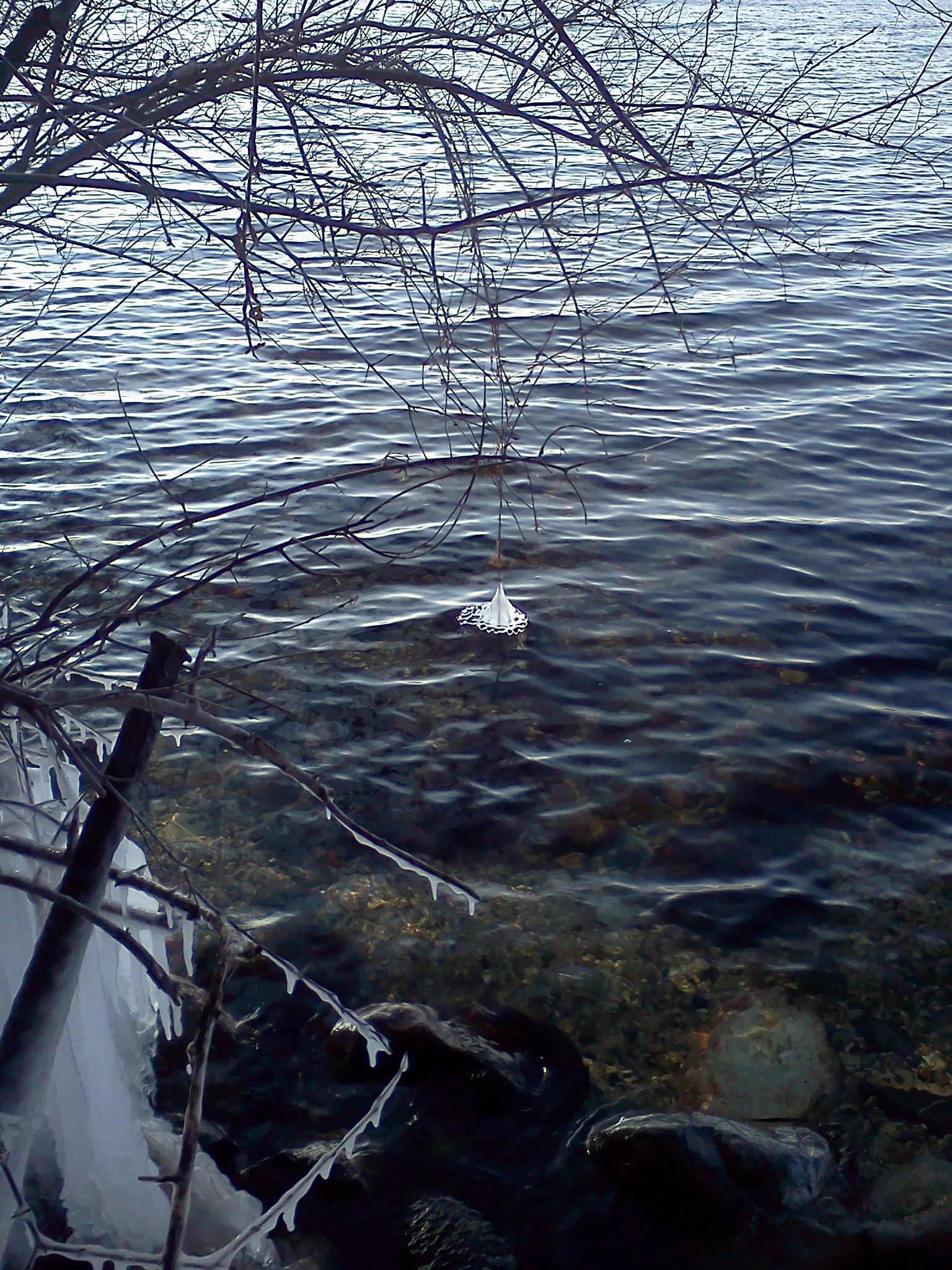 City of Lake Geneva Public Beach, Geneva Lake, White River and Nippersink Creek Watershed (FX03)