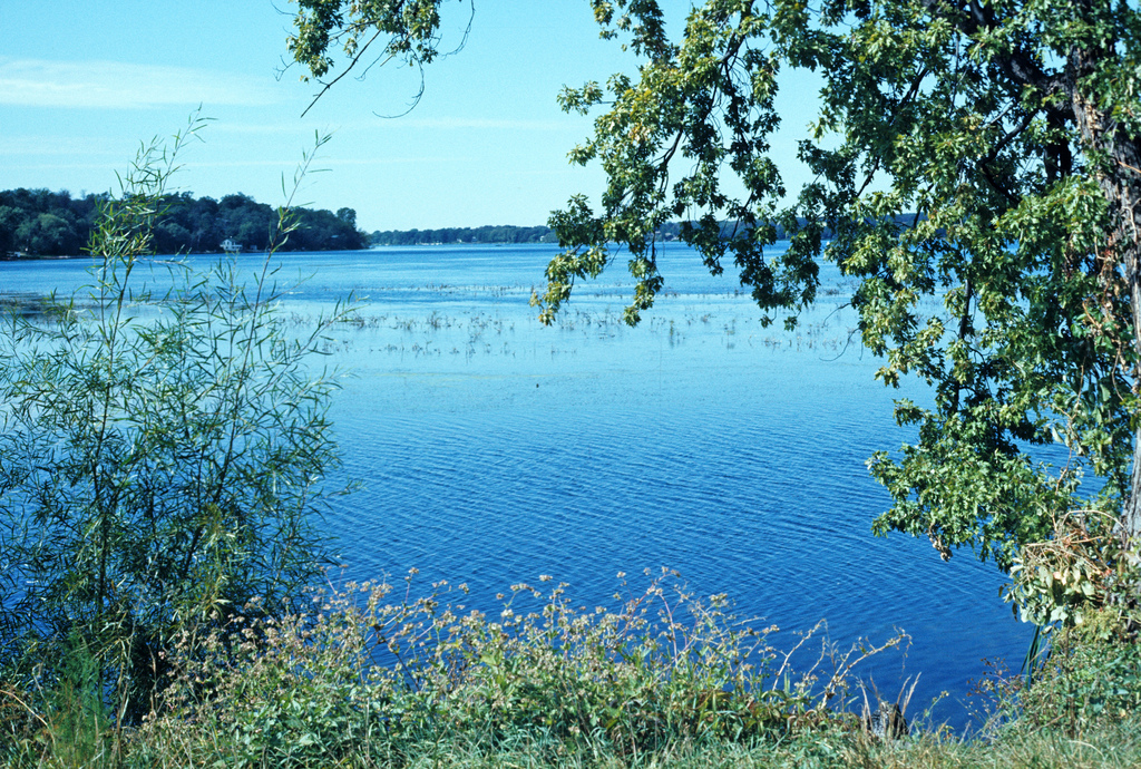 Fox River At Buffalo Lake, Buffalo and Puckaway Lakes Watershed (UF10)