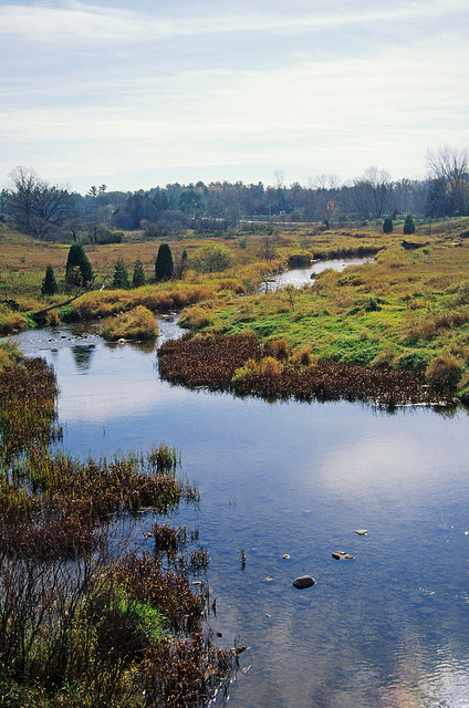 Branch River (Main Stem), Branch River Watershed (MA03)