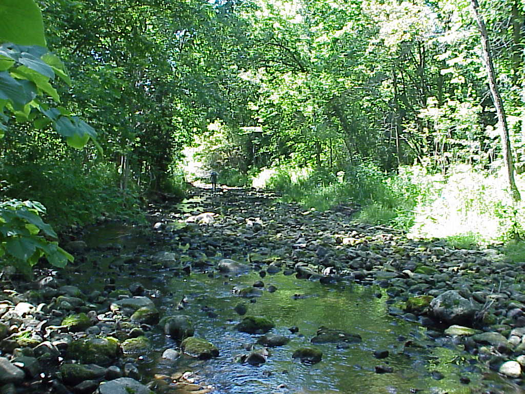 School Creek, Kewaunee River Watershed (TK03)