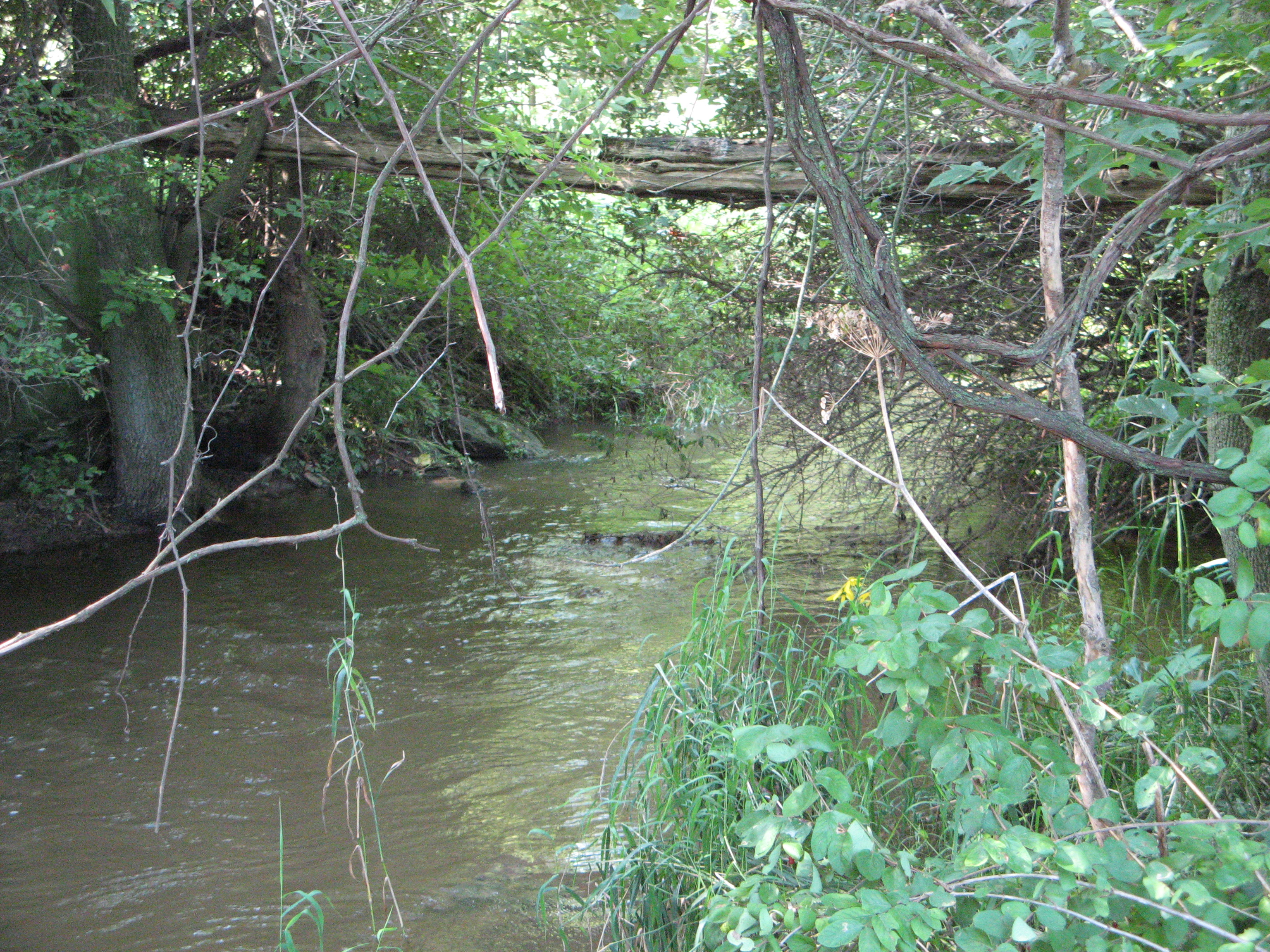 Scarboro Creek, Kewaunee River Watershed (TK03)