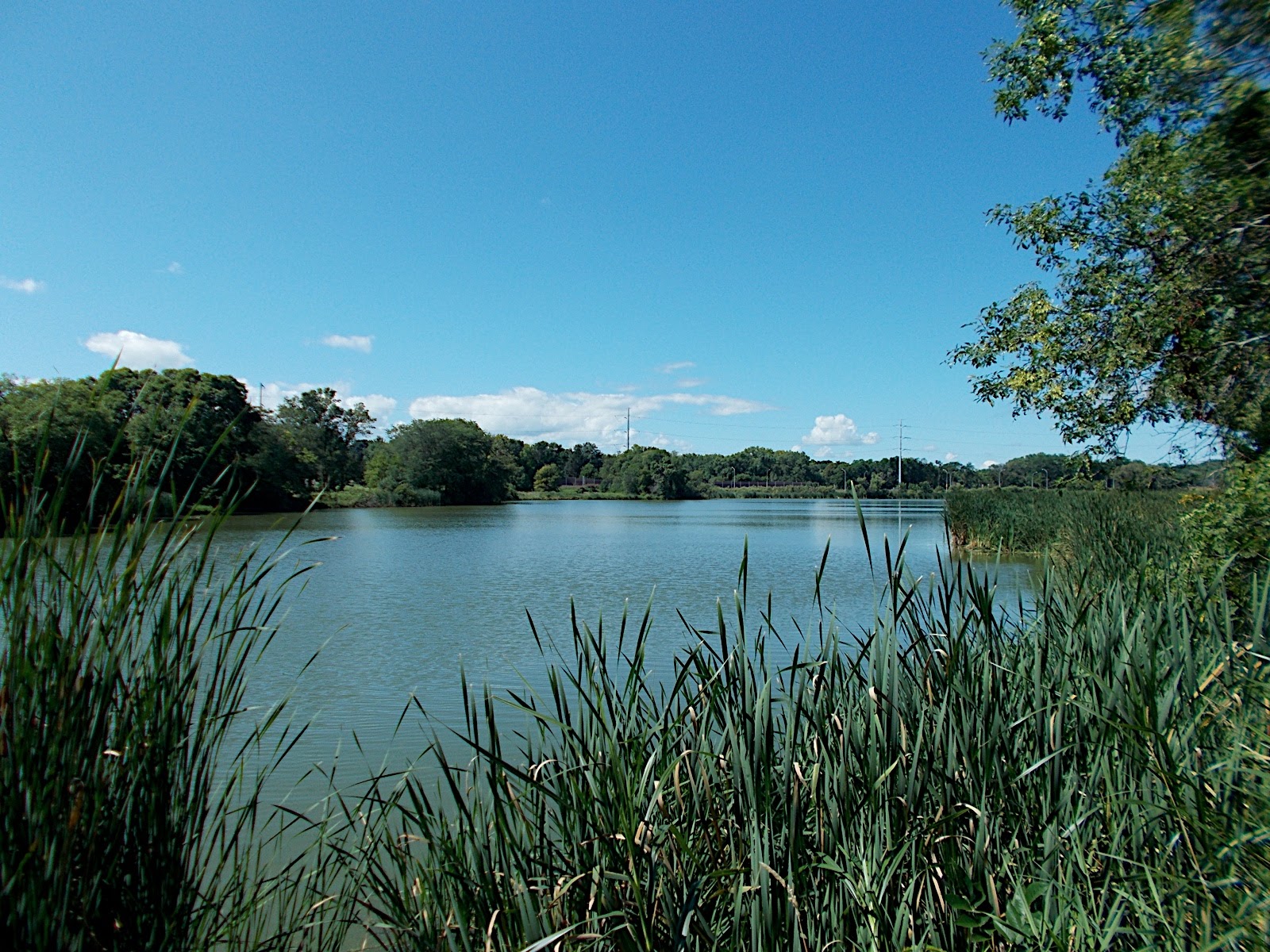 Odana Pond, Yahara River and Lake Monona Watershed (LR08)