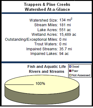 Trappers and Pine Creeks Watershed At-a-Glance