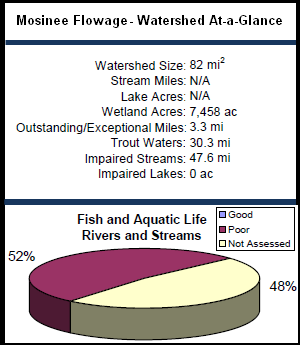 Mosinee Flowage Watershed At-a-Glance
