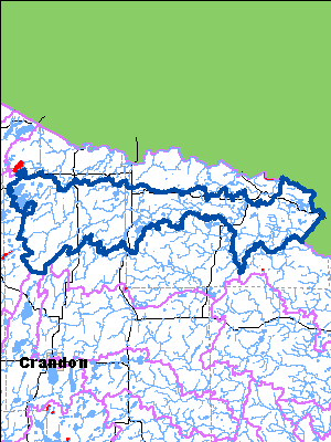 Impaired Water in Pine River Watershed