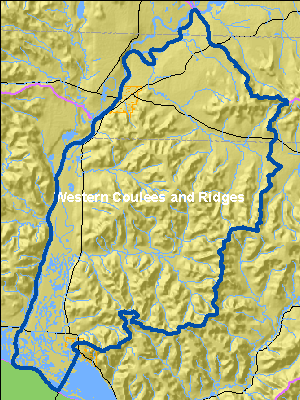 Ecological Landscapes for Bear Creek Watershed