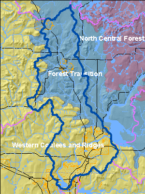 Ecological Landscapes for Duncan Creek Watershed