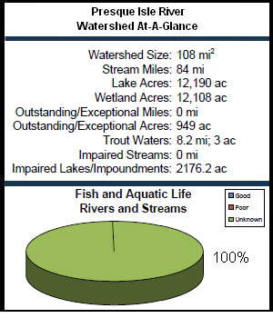 Presque Isle River Watershed At-a-Glance