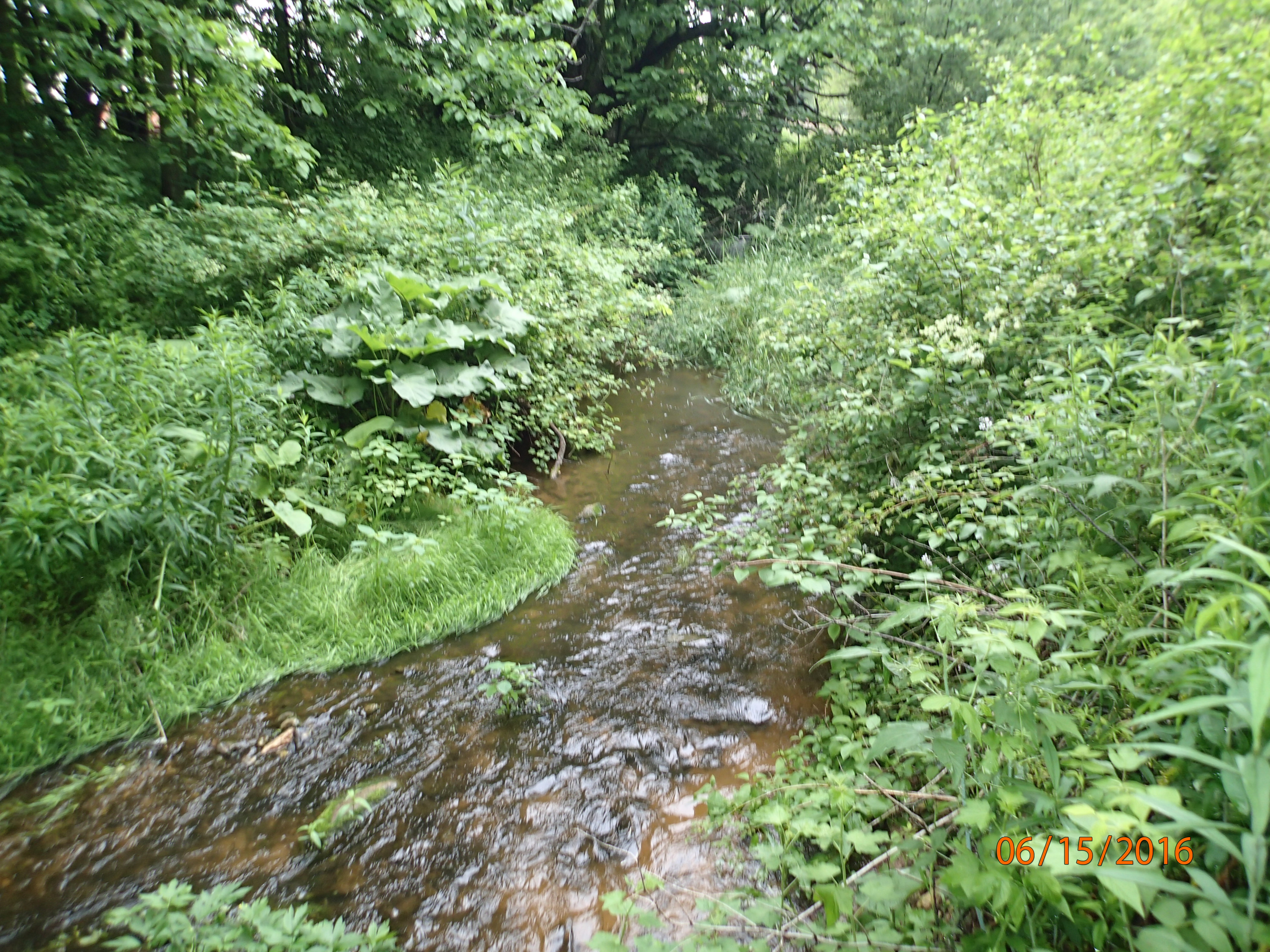 Sevenmile and Silver Creeks Watershed