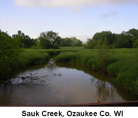 Sauk and Sucker Creeks Watershed