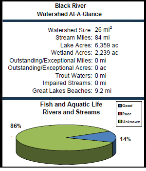 Black River Watershed At-a-Glance