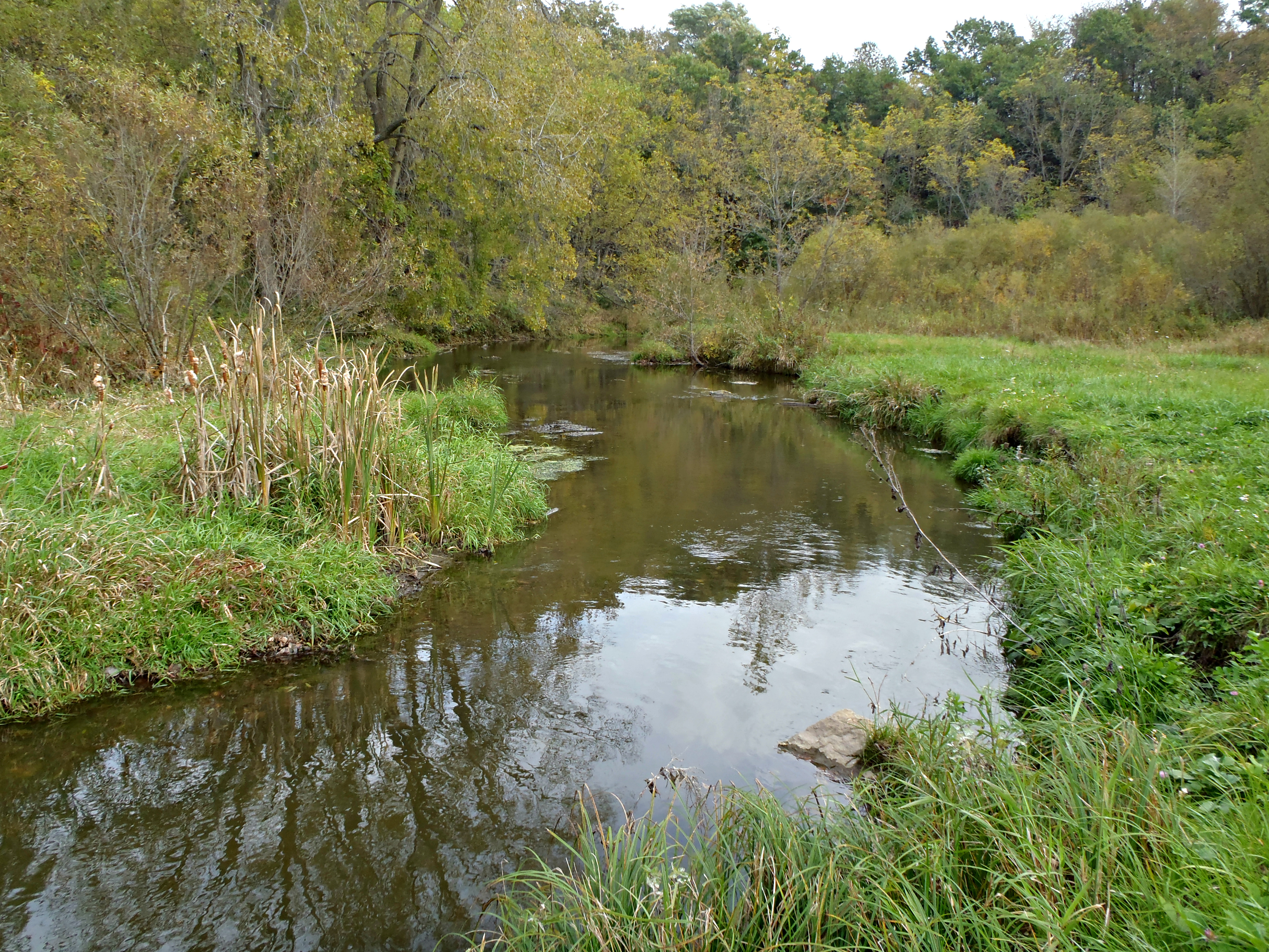 Lower Sugar River Watershed