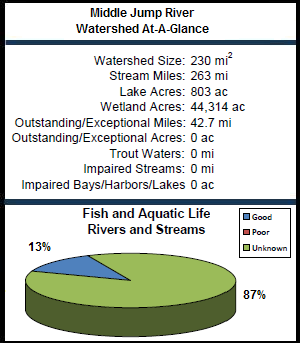 Middle Jump River Watershed At-a-Glance