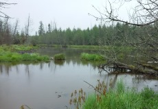 East Fork Chippewa River Watershed