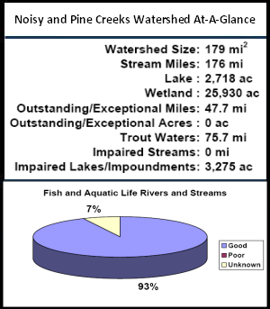 Noisy and Pine Creeks Watershed At-a-Glance