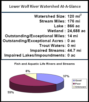 Lower Wolf River Watershed At-a-Glance