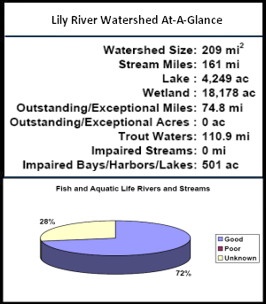 Lily River Watershed At-a-Glance